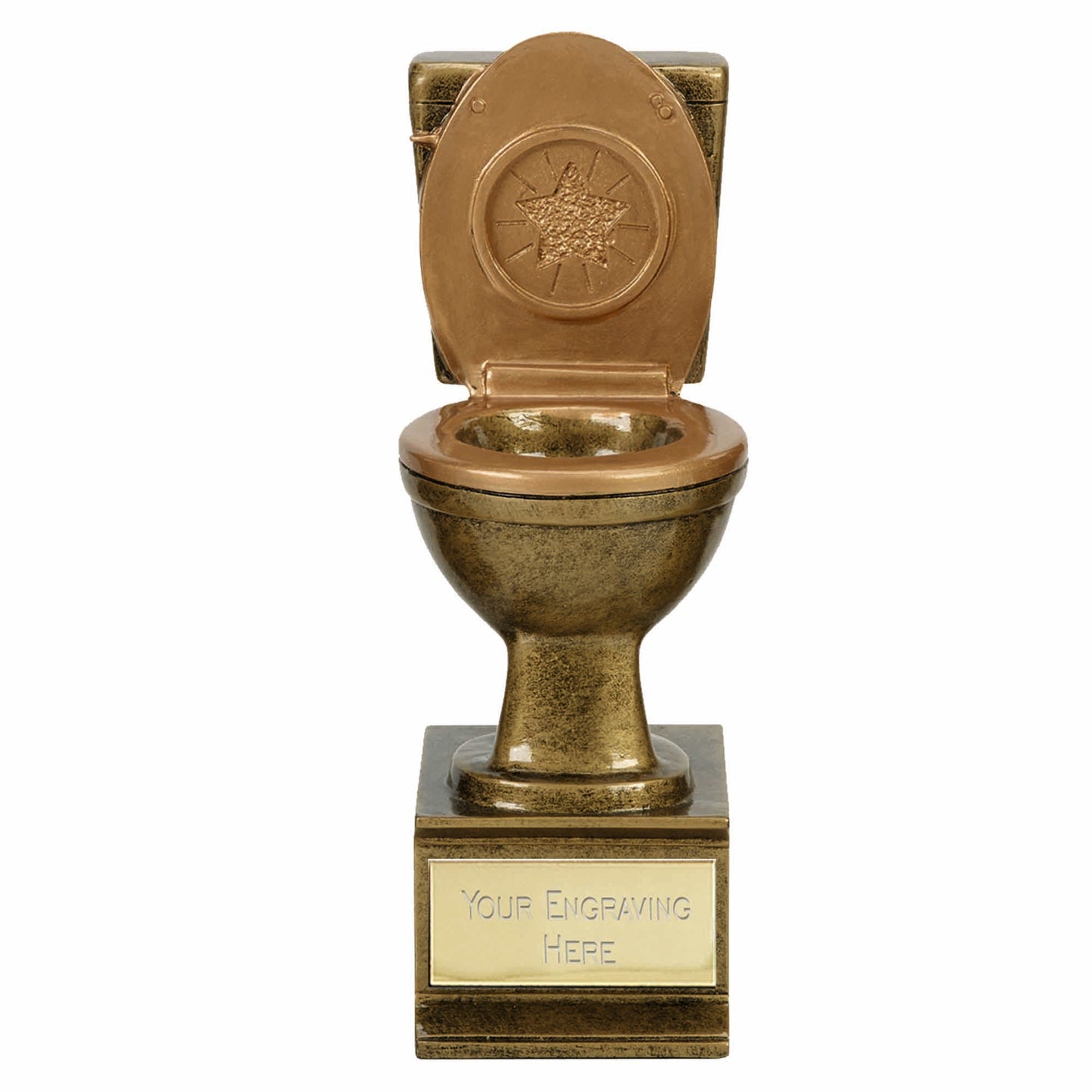 Novelty 'Golden Flush' Toilet Award 15cm (6")