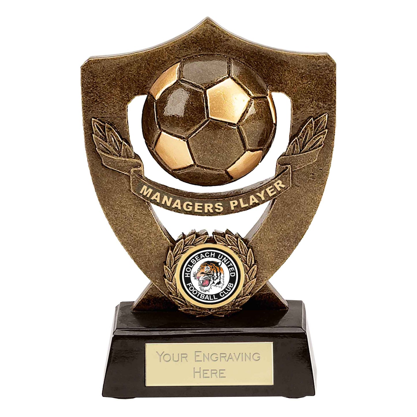 Celebration Shield Series Managers Player Award 17.5cm (7")