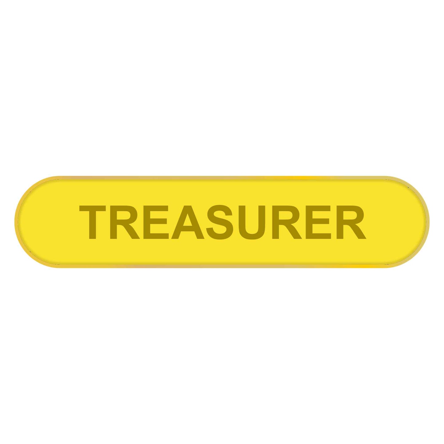 Blue Treasurer Bar Badge