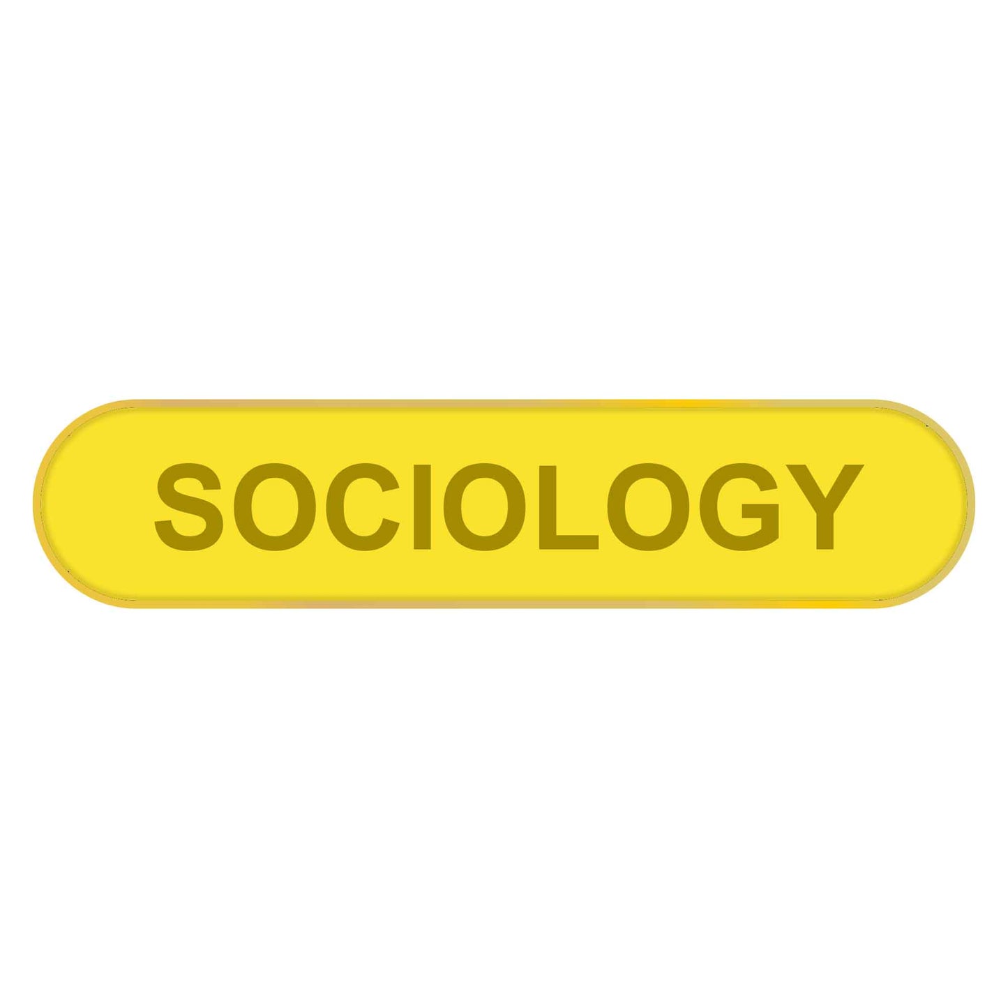 Blue Sociology Bar Badge