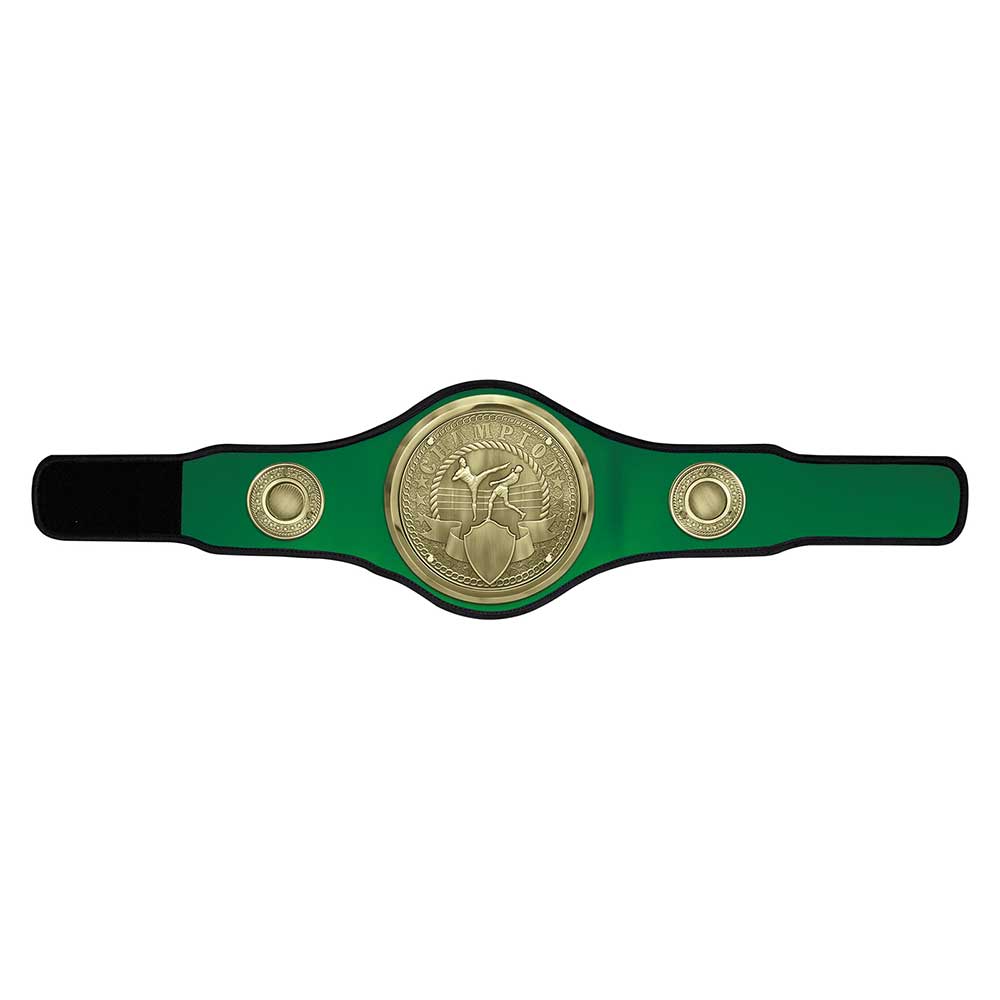 Champion Belt Kickboxing Award