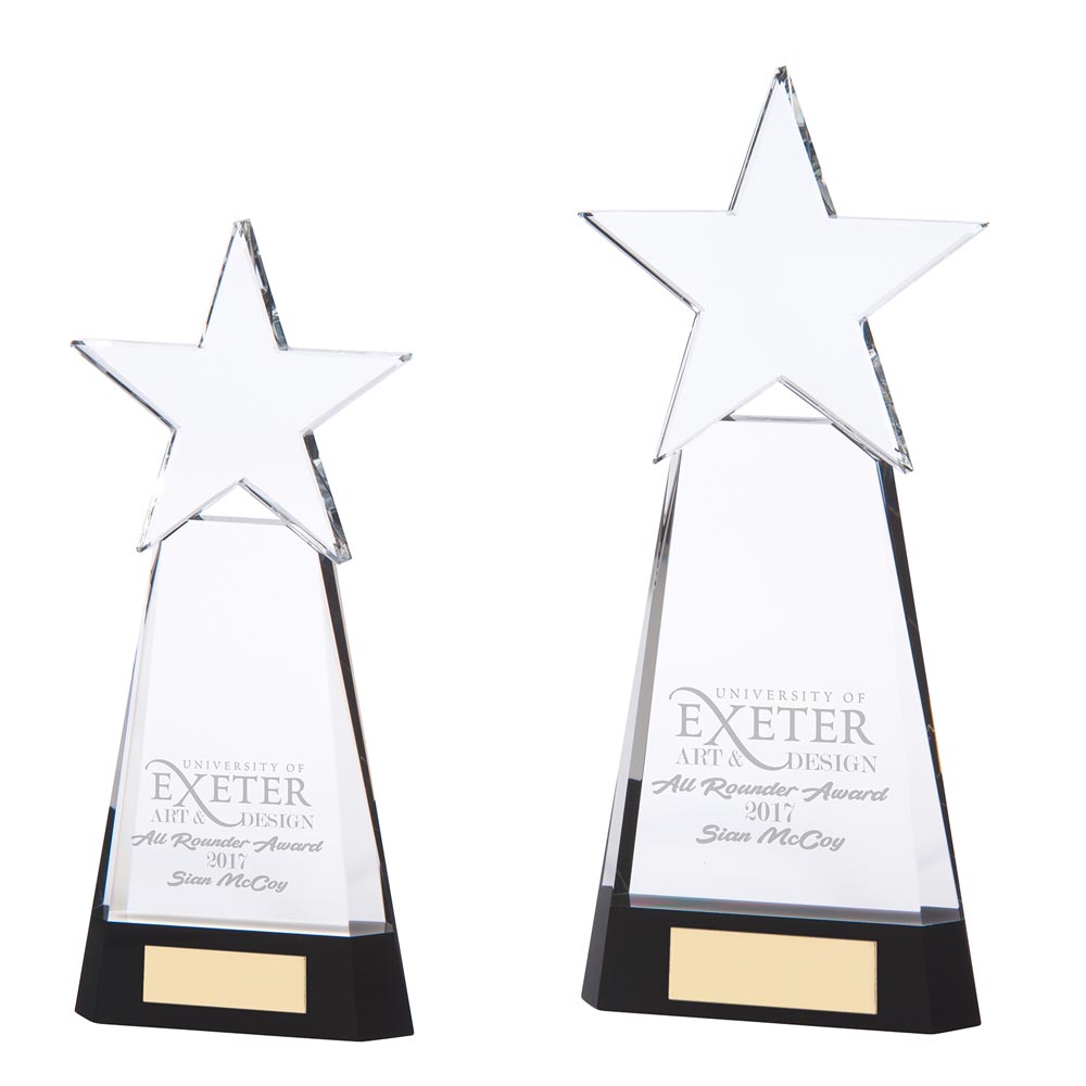 Houston Crystal Award