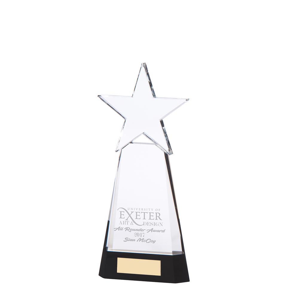 Houston Crystal Award