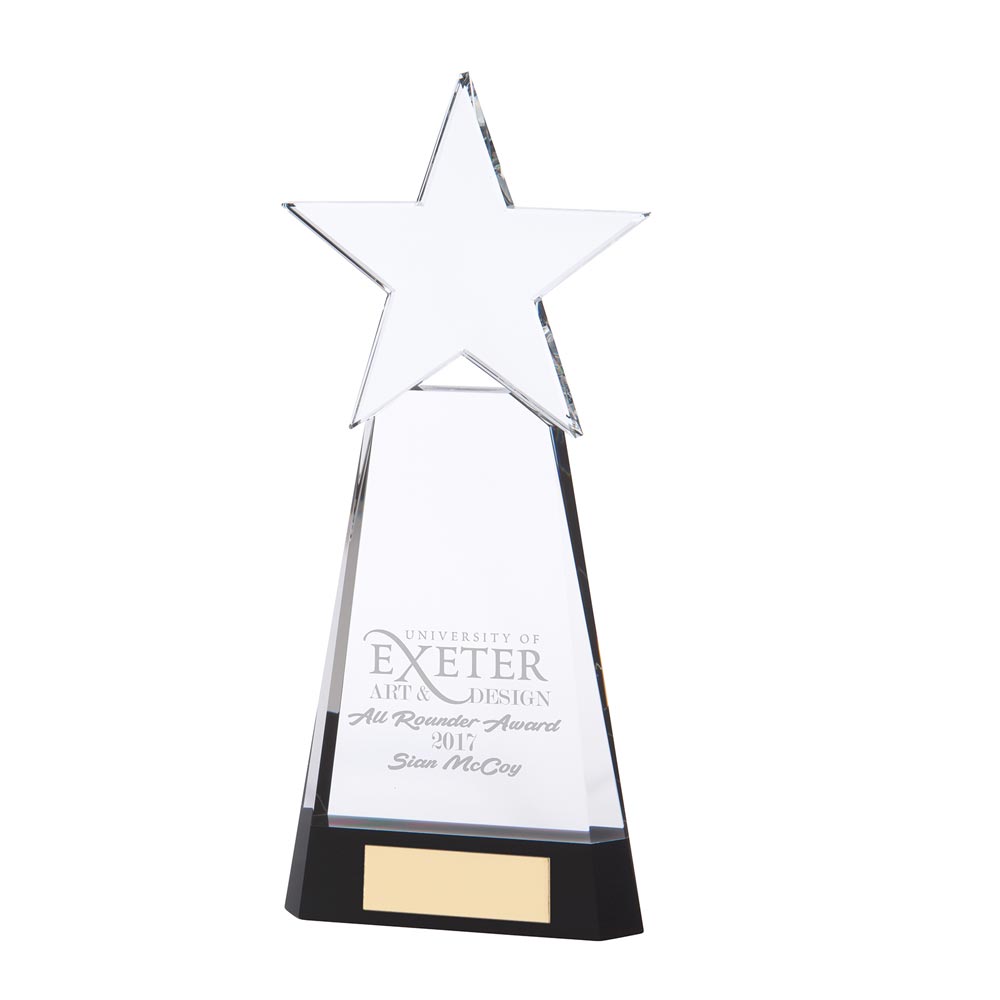 Houston Crystal Award