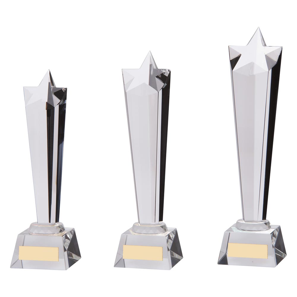 Seattle Star Crystal Award