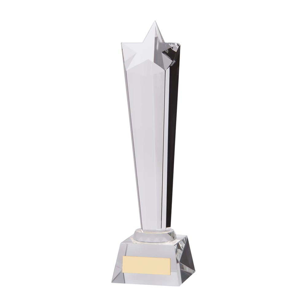 Seattle Star Crystal Award