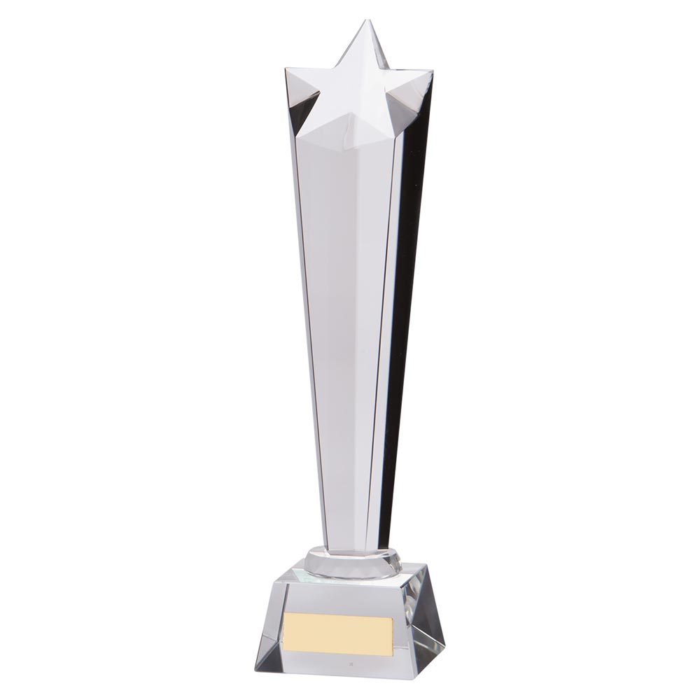 Seattle Star Crystal Award