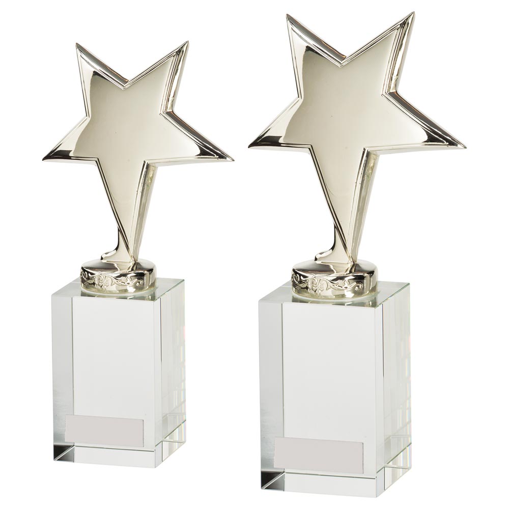 Dallas Crystal & Chrome Award