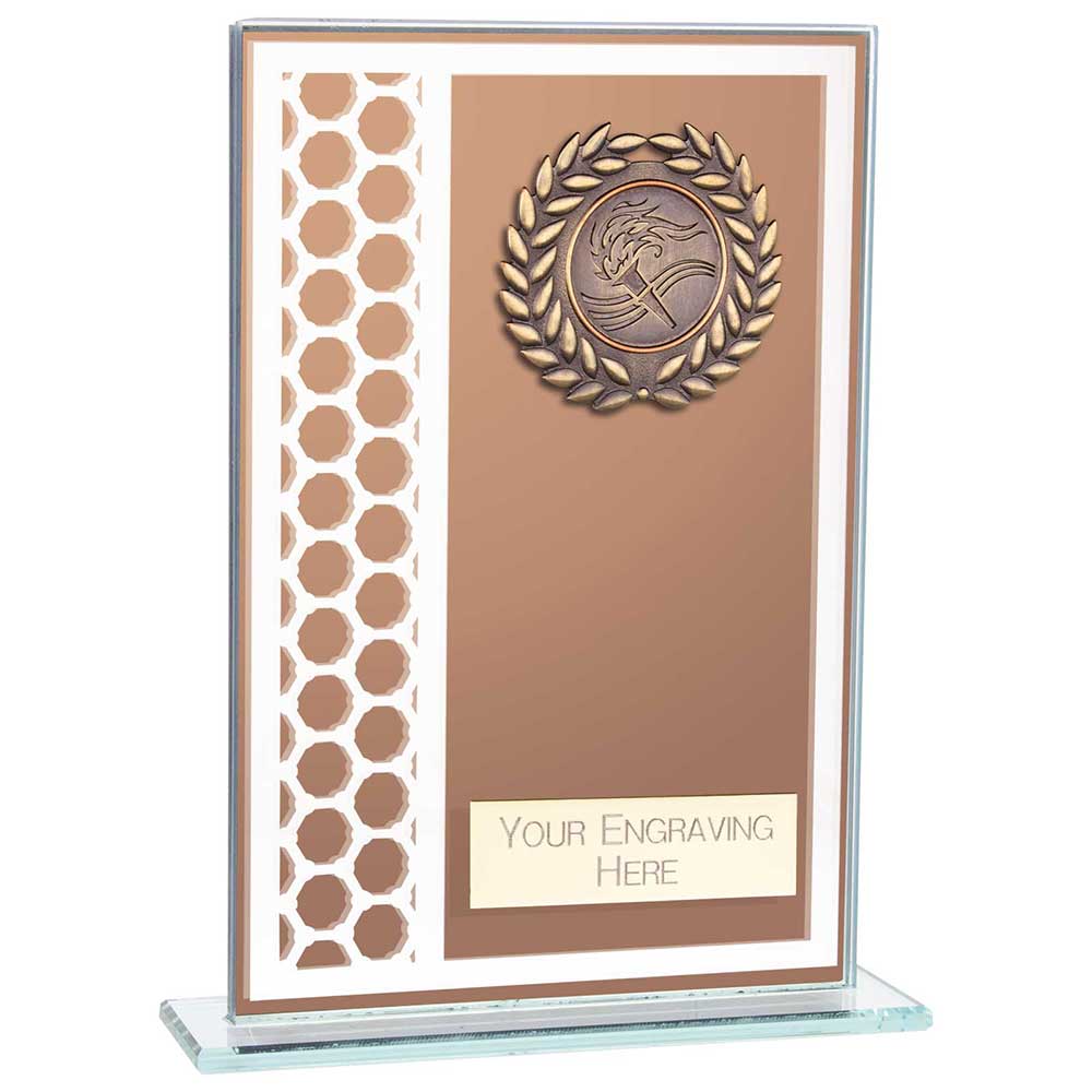 Titanium Multisport Glass Award Bronze