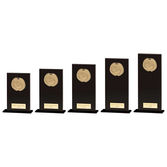 Hero Multisport Glass Award Black