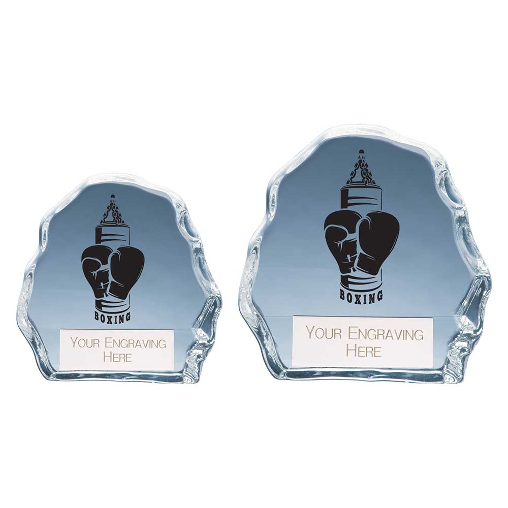 Mystique Boxing Glass Award