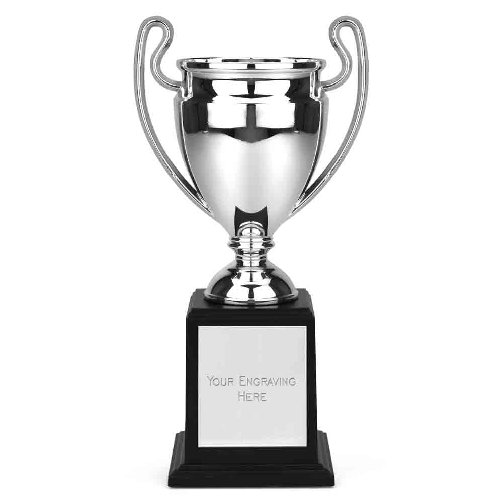 Mirror Cup Monument Award 16.5cm (6 1/2")