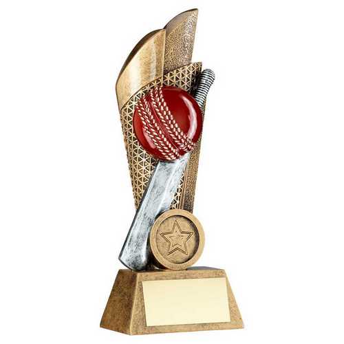 BRZ/PEW/GOLD CRICKET BALL AND BAT ON MESH BACKDROP WITH PLATE (1in CEN)