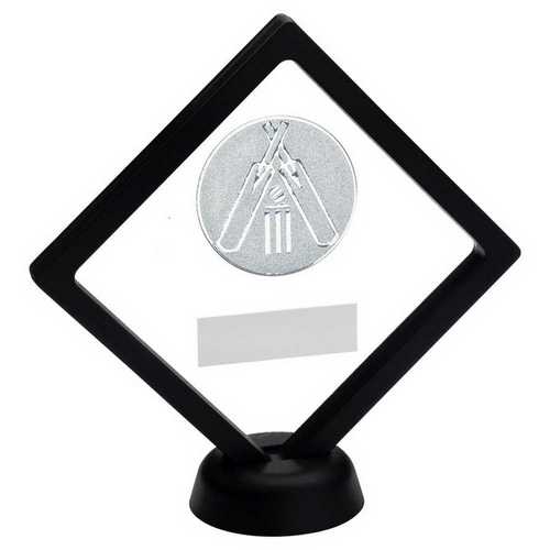 BLACK/CLEAR PLASTIC BOX WITH CRICKET INSERT TROPHY GOLD - 6in