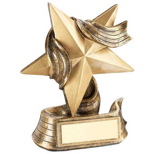 BRZ/GOLD STAR AND RIBBON AWARD WITH PLATE