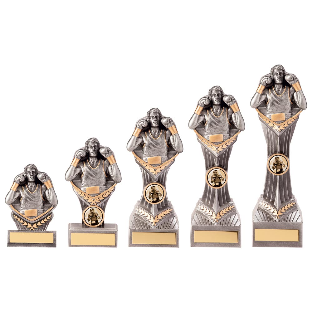 Falcon Boxing Award