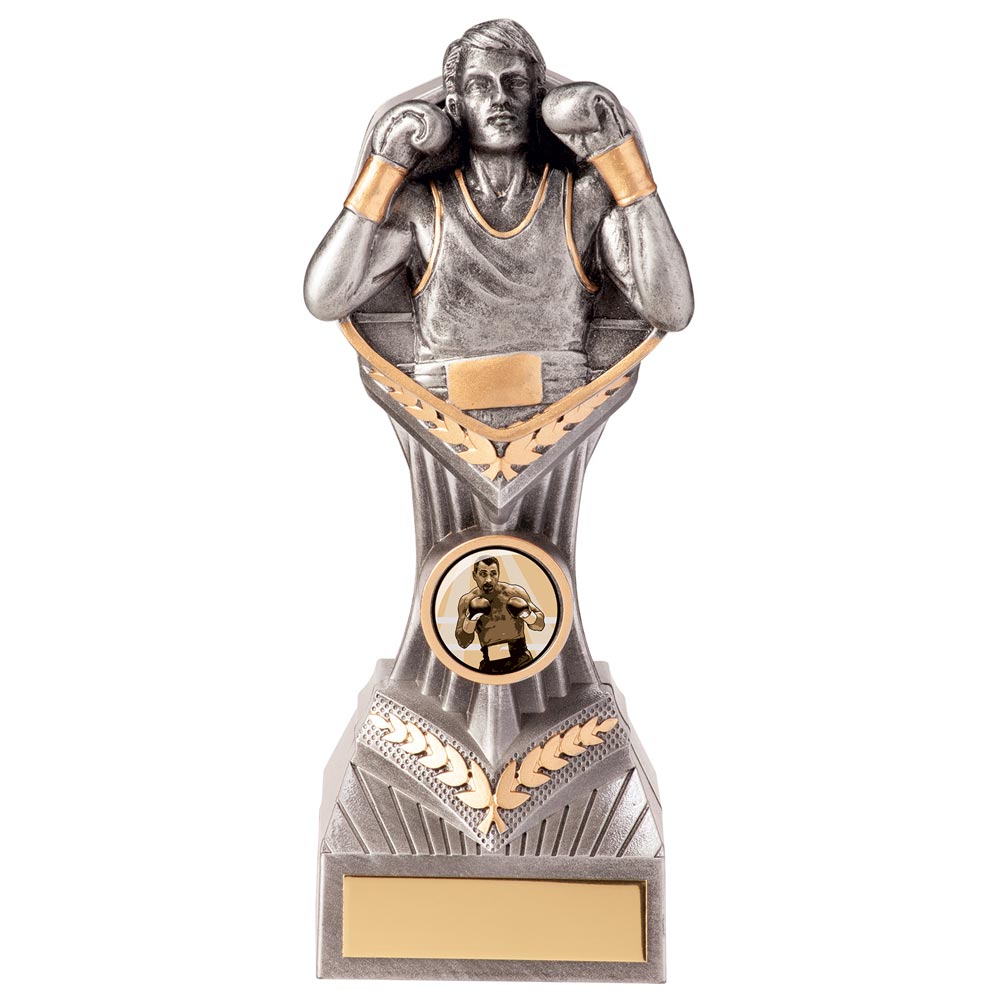 Falcon Boxing Award