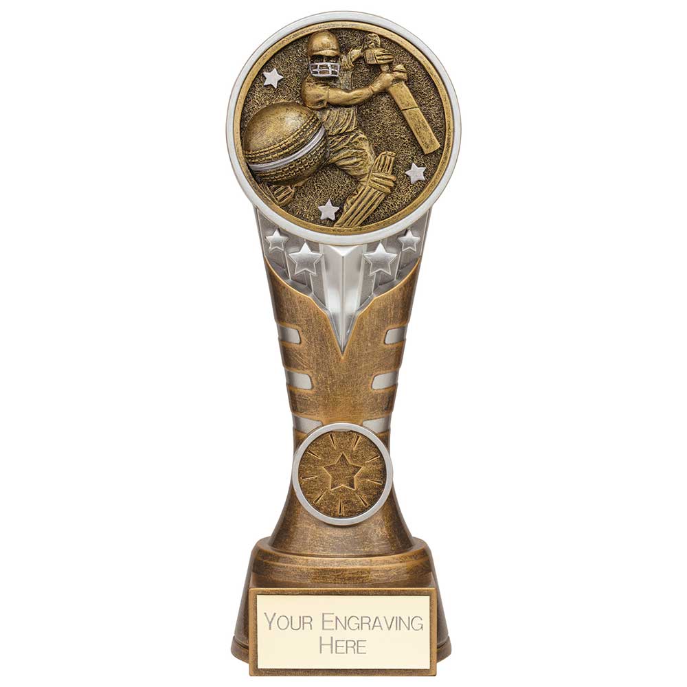 Ikon Tower Cricket Batsman Award