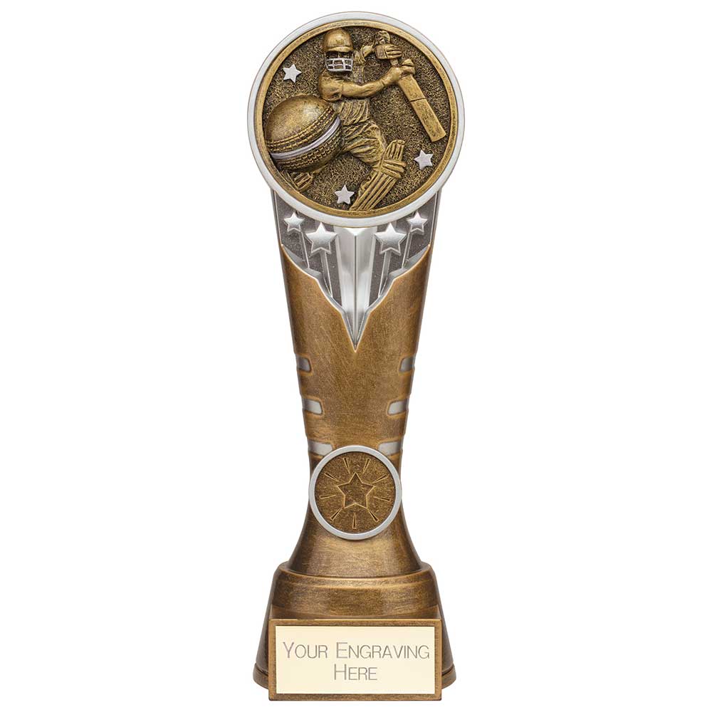 Ikon Tower Cricket Batsman Award