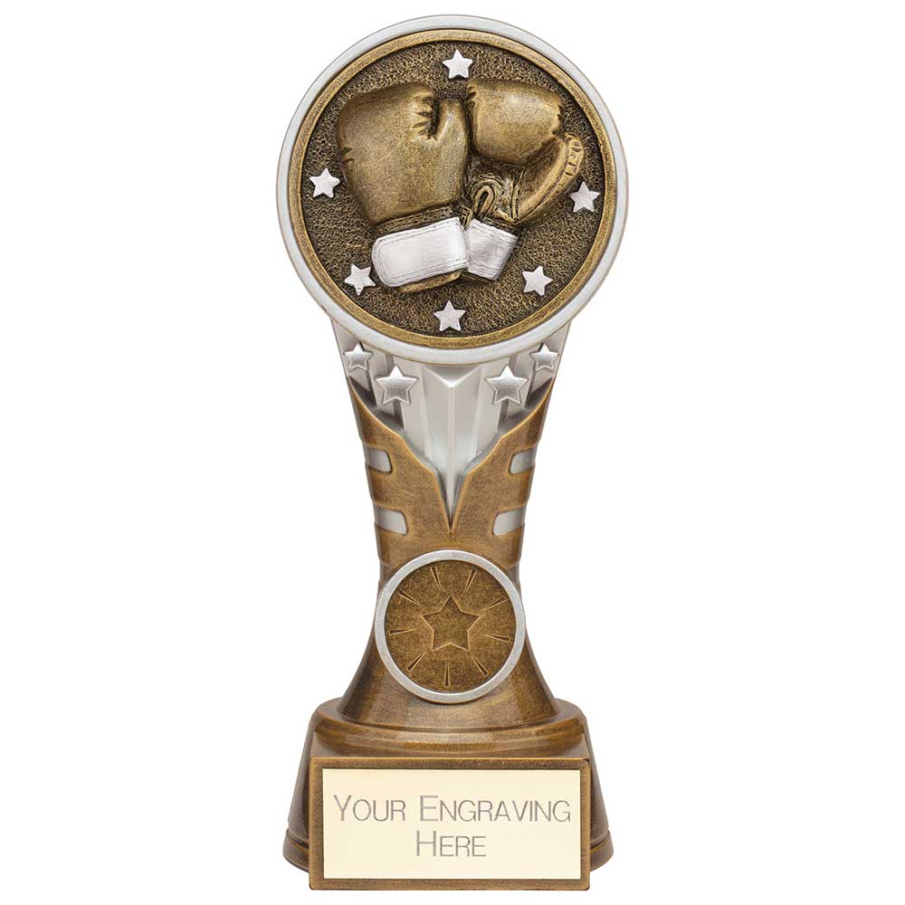Ikon Tower Boxing Award