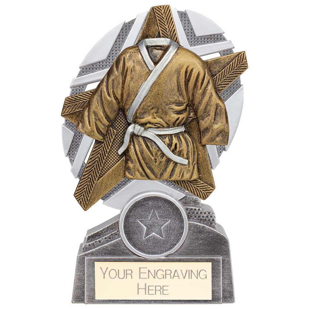 The Stars Martial Arts Plaque Award