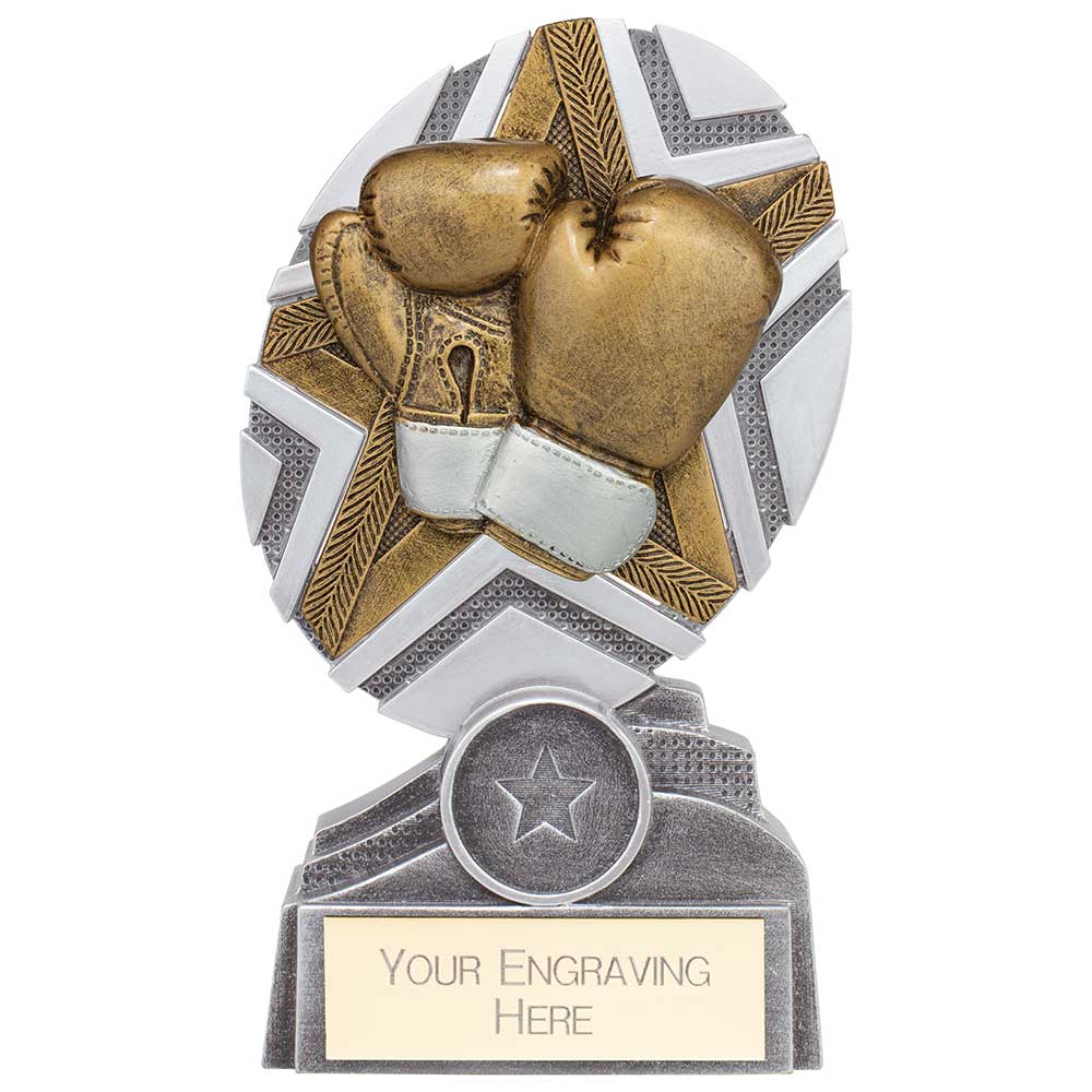 The Stars Boxing Plaque Award