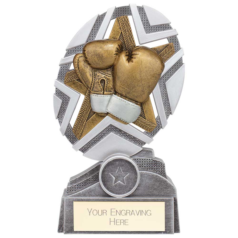The Stars Boxing Plaque Award