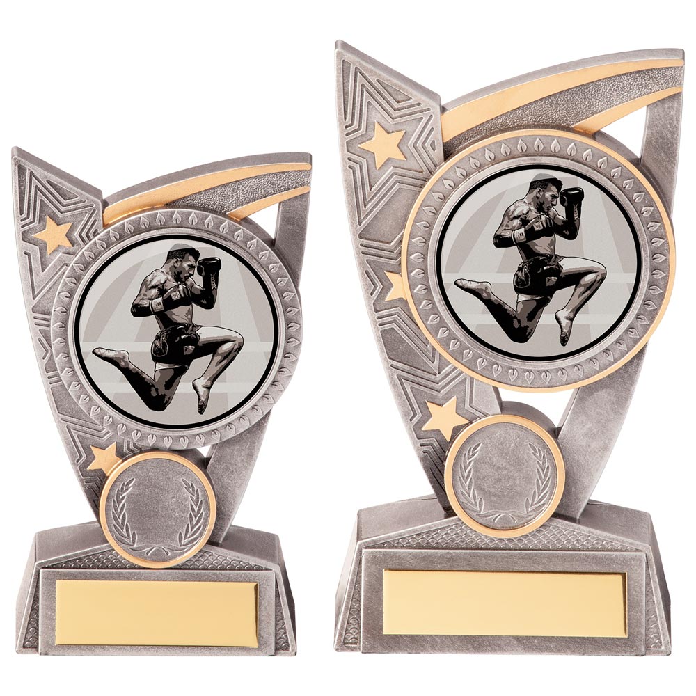 Triumph Kickboxing Award