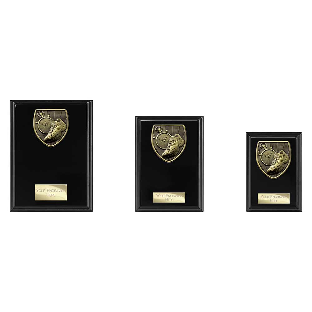 Cobra Plaque Running Award