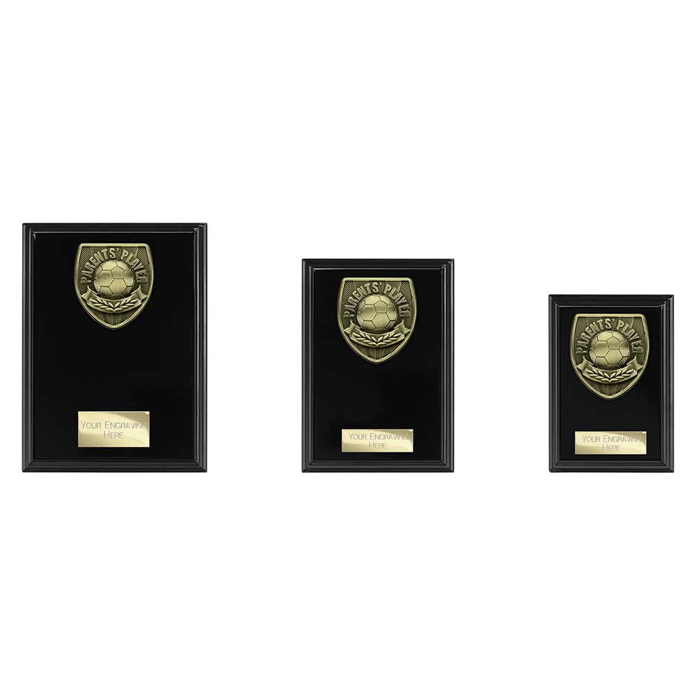 Cobra Plaque Parents Player Award