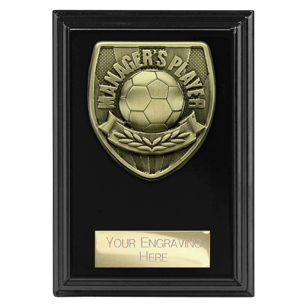 Cobra Plaque Managers Player Award