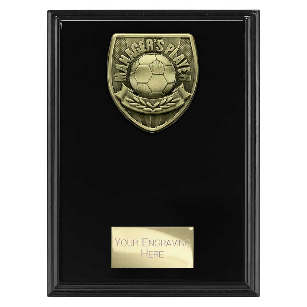 Cobra Plaque Managers Player Award