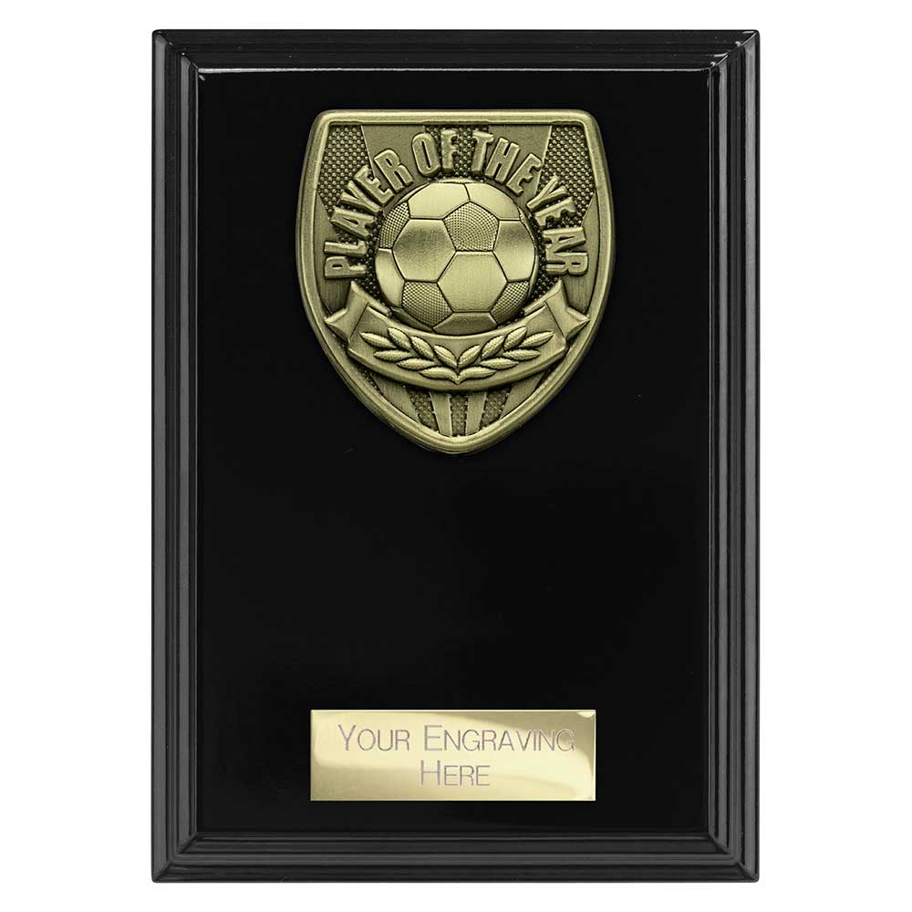 Cobra Plaque Player of Year Award