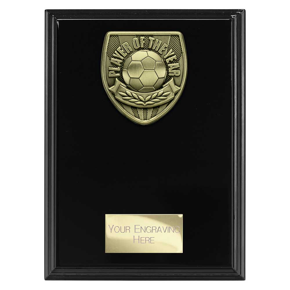 Cobra Plaque Player of Year Award