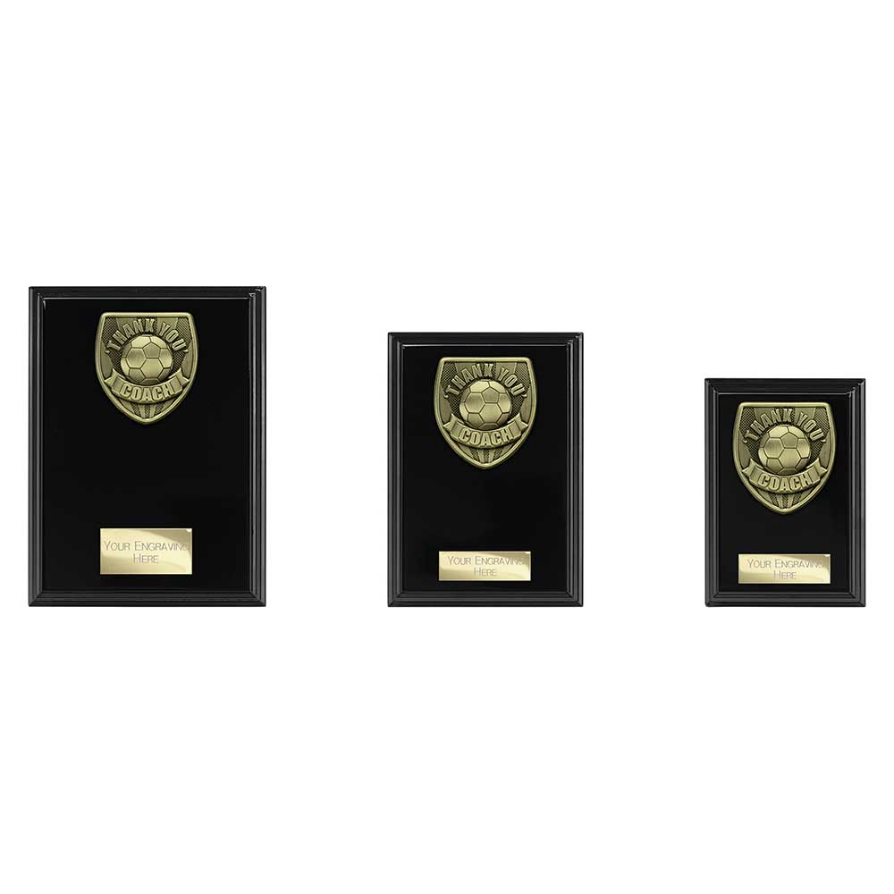 Cobra Plaque Thank you Coach Award