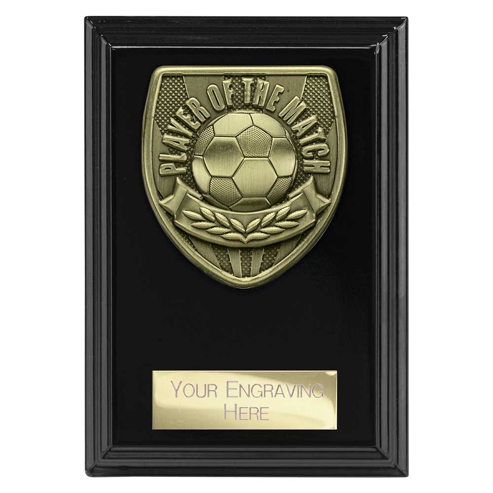Cobra Plaque Player of Match Award