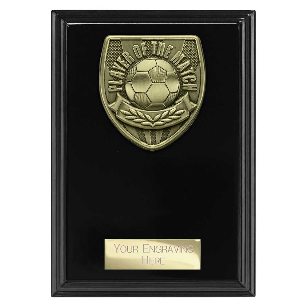 Cobra Plaque Player of Match Award