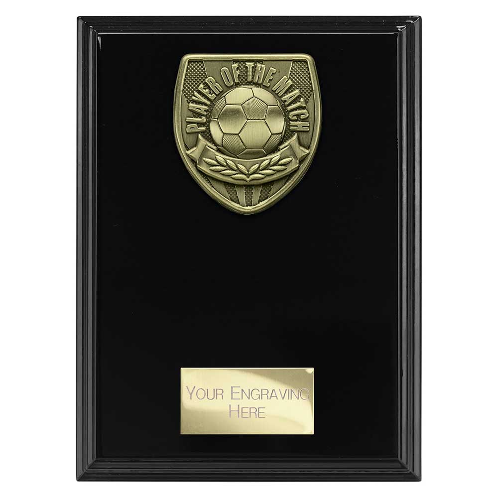 Cobra Plaque Player of Match Award