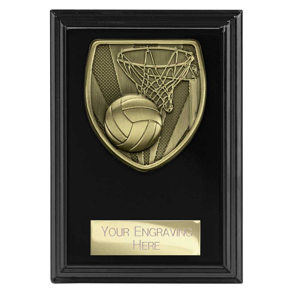 Cobra Plaque Netball Award