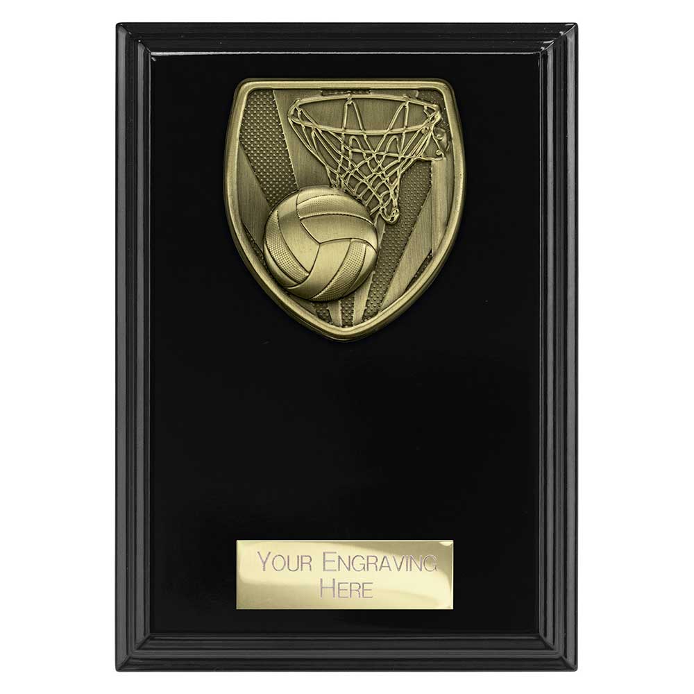 Cobra Plaque Netball Award
