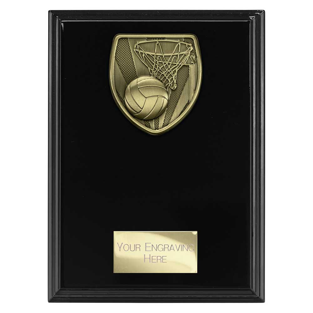 Cobra Plaque Netball Award