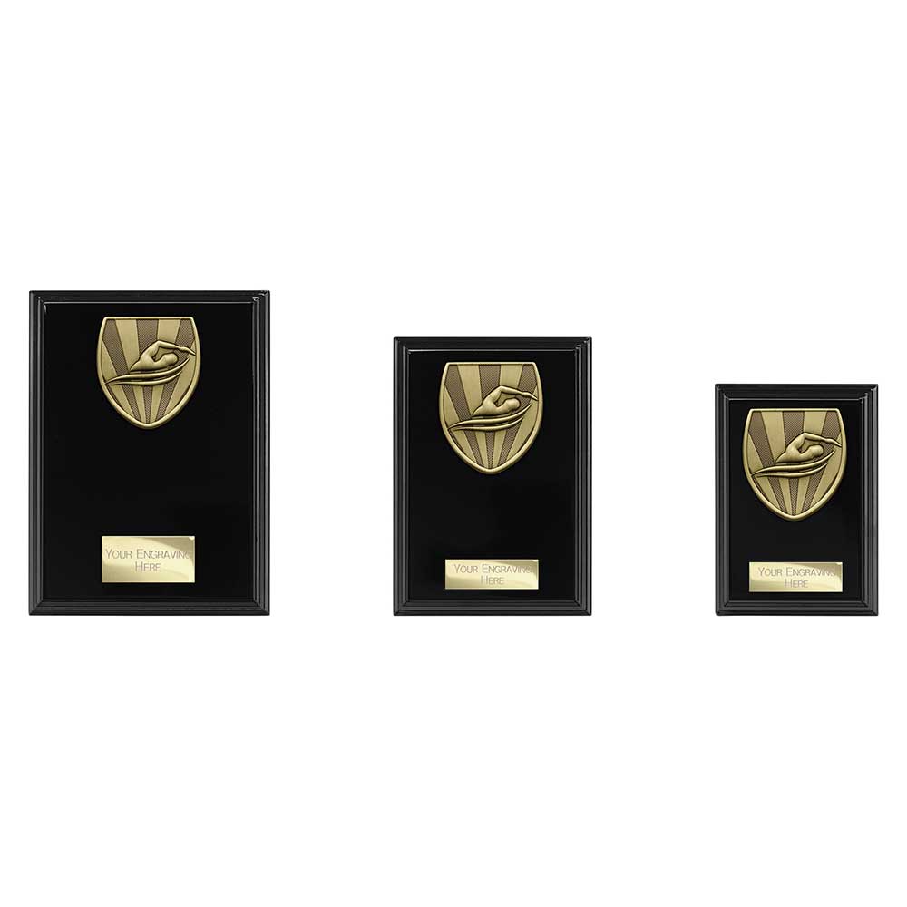 Cobra Plaque Swimming Award