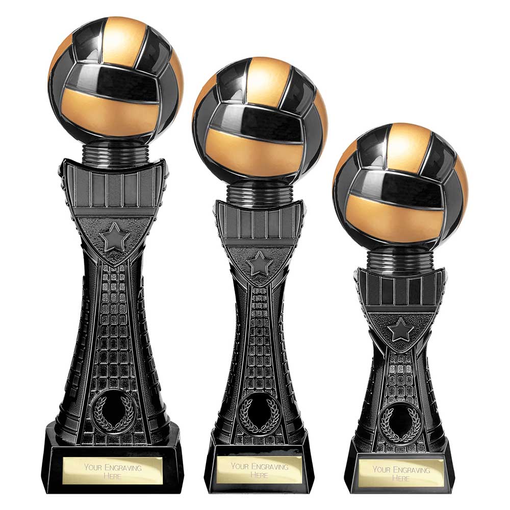 Black Viper Tower Netball Award
