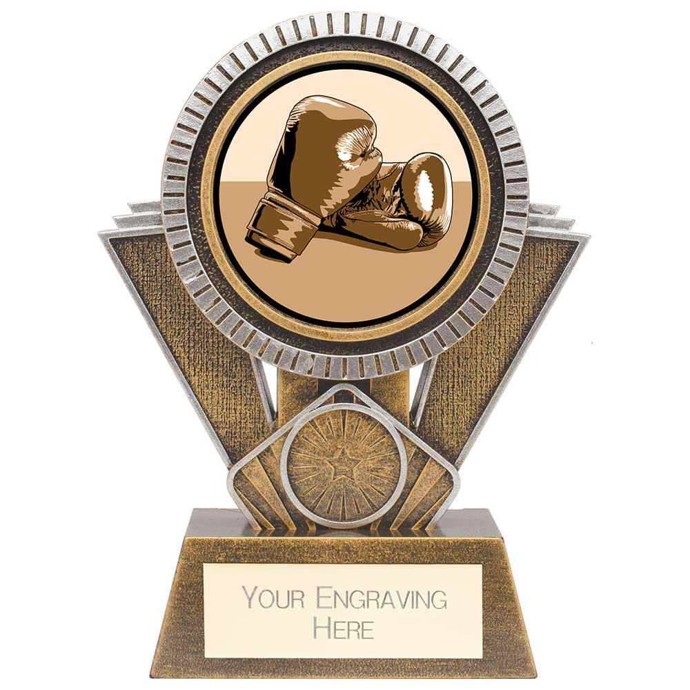 Apex Boxing Award Gold & Silver