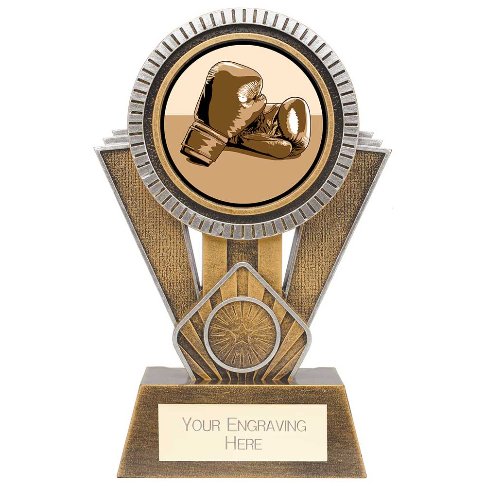 Apex Boxing Award Gold & Silver