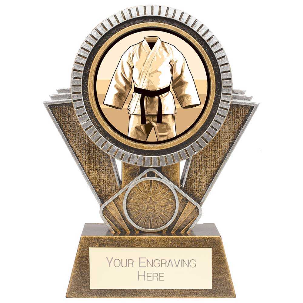 Apex Martial Arts Award Gold & Silver