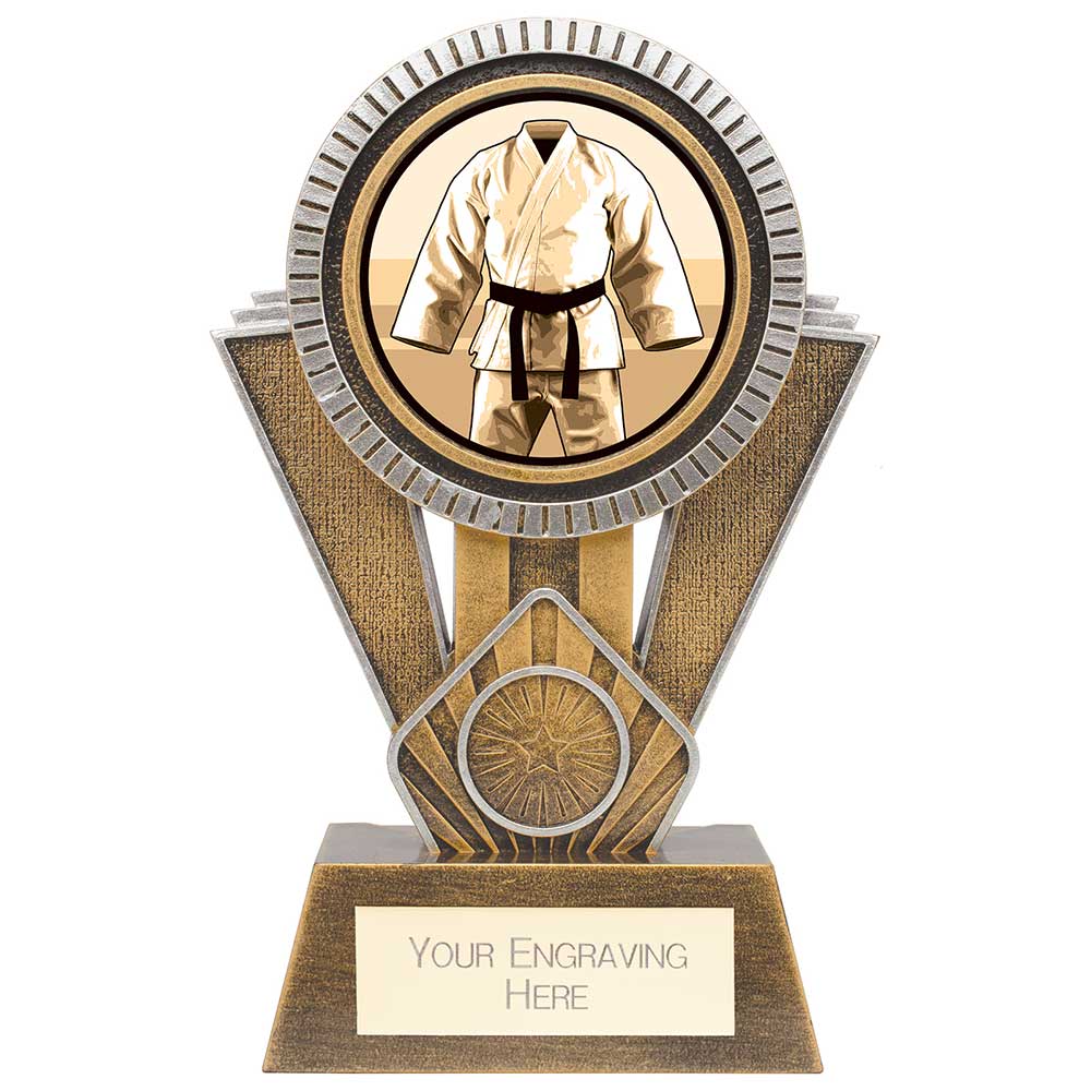 Apex Martial Arts Award Gold & Silver