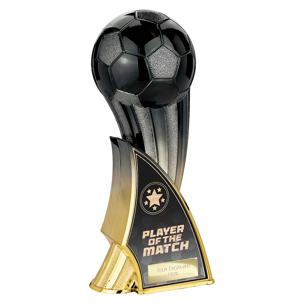 Firestorm Heavyweight Player of Match