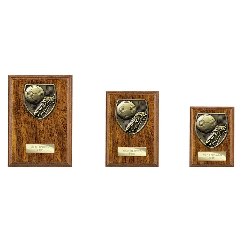 Cobra Plaque Football Boot & Ball Award