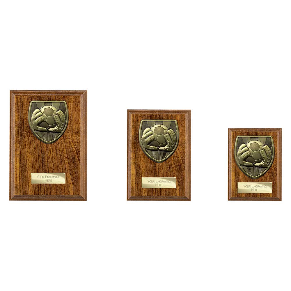 Cobra Plaque Football Goal Keeper Award